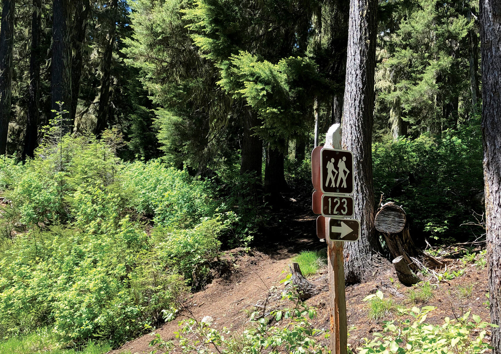 The nearby Great Outdoors: Steamboat Lake Trail #123